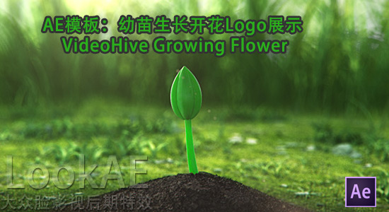 Growing-Flower