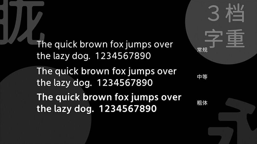 fonthunter-1012-fonts-02