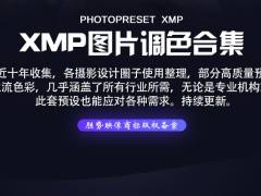 Cameraw滤镜XMP预设LR调色PS黑金日系小清新哑光美食婚礼vsco莫兰迪ins合集装