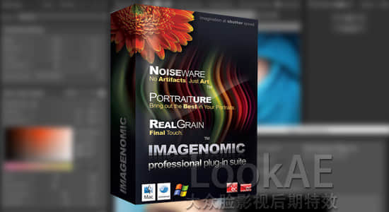 Imagenomic-Professional-1411