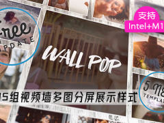 fcpx插件 35组视频墙多图分屏展示3D运动相机样式 支持M1 Wall Pop