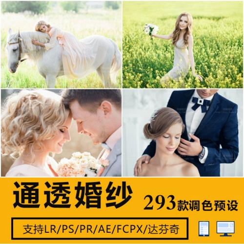 LUTS调色预设精选293款清新通透婚纱调色LR/PR/PS/FCPX/达芬奇/AE