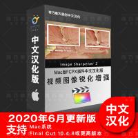 FCPX中文汉化版视频锐化增强细节清晰度插件image sharpener 2