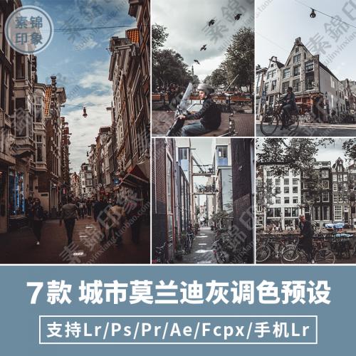 7款城市莫兰迪高级灰ins街拍旅拍调色预设！LR/PS/FCPX手机APP滤镜PR调色LUT